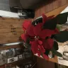 Bloomex - Product ordered was not what was received - Photo 3