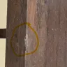 Royaloak Furniture - Damaged furniture delivered - Photo 1