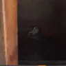 Royaloak Furniture - Damaged furniture delivered - Photo 5