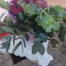 NetFlorist - Poor Service, faulty website, unethical behaviour - Photo 1