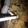 American Home Shield [AHS] - Pipe broke in attic