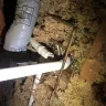 American Home Shield [AHS] - Pipe broke in attic - Photo 4