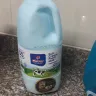 Clover - Full Cream Fresh Milk