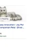 Synchrony Bank - Sam's club credit card transaction - Photo 1