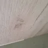 Central Developments Property Group - Defect that have not been fixed properly since October - Photo 4