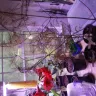 Wholesale Nursery Company - Refund / Replace - Photo 1