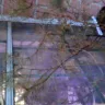 Wholesale Nursery Company - Refund / Replace - Photo 3
