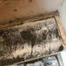 Stanley Steemer International - Home carpet cleaning - Photo 1