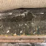 Stanley Steemer International - Home carpet cleaning - Photo 4