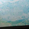 Seventh Avenue - Cal king cooling memory foam topper - Photo 2