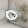 Dollar Tree - Retaliation from the management - Photo 2