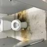 Dollar Tree - Retaliation from the management - Photo 1