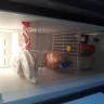 BrandsMart USA - Refrigerator - Photo 1