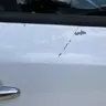 KIA Motors - Paint Chipping - Photo 1