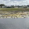 Sun Communities - Pond water level on the 13 hole riverside country club and marina , Ruskin fl - Photo 2