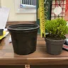 Gardening Express - Plants - Photo 1