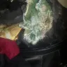 Pakistan International Airlines [PIA] - My bag is totally damage and all stuff as well