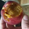 Sam's Club - Nectarines