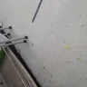 Dollar Tree - The cleanliness/neatness of the store - Photo 6