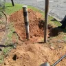 Telkom SA SOC - illegal procedures - Photo 2