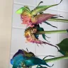 Funky Pigeon - Flowers