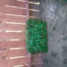 Yahoo! - oviicha.com - Photo 1