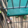 Morrisons - Negligence to maintain trolleys used by customers