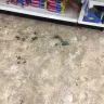 Dollar Tree - Filthy store...