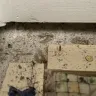 Ryan Homes - A nightmare with Ryan’s homes - Photo 7