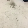 Dollar Tree - Filthy store, disrespectful cashiers, boxes stacked up everywhere - Photo 8