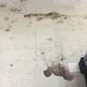 Dollar Tree - Filthy store, disrespectful cashiers, boxes stacked up everywhere - Photo 3