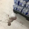 Dollar Tree - Filthy store, disrespectful cashiers, boxes stacked up everywhere - Photo 2
