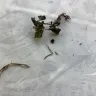 The Lakeside Collection - Refund on dead plants - Photo 1