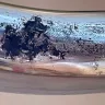 LDR Industries / LDR Global Industries - "plastic" faucet model no. 952 36425cp - Photo 1