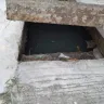 Camella Homes - Drainage clogging - Photo 1