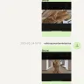 DHGate.com - [protected] - Photo 9