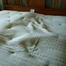 Simmons Bedding - Queen beautyrest silver brs900-c plush pillow top ([protected]-1050) - Photo 2