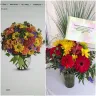 Teleflora - Teleflora flowers I bought and sent to a cousin were very disappointing. - Photo 1