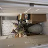 National Floors Direct - Delivery of hardwood floor - Photo 3