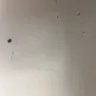 Del Taco - I found a bug in my taco - Photo 1