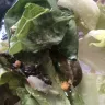 Wendy’s - Jalapeño Salad - Photo 4