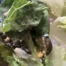 Wendy’s - Jalapeño Salad - Photo 1