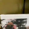 CanvasOnSale - 40 x 30 Canvas - Photo 2