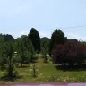 Duke Energy - Duke Energy is trespassing on my property - Photo 1