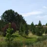 Duke Energy - Duke Energy is trespassing on my property - Photo 2