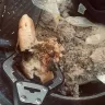 Stater Bros Markets - Maggot sandwiches - Photo 3