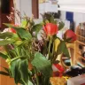 Serenata Flowers - Order [protected] - Photo 2