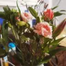 Serenata Flowers - Order [protected] - Photo 3
