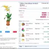 FlowerShopping.com - Incorrect Plant delivered