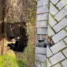 Bell - Underground cable crews damaged my property - Photo 2